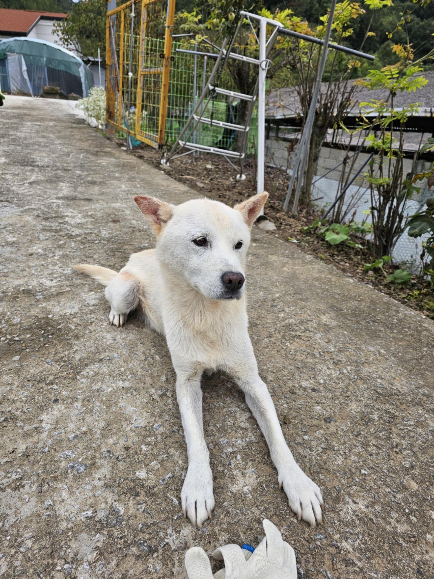 군위종합동물병원_427514202400614